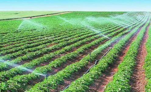 下载免费操逼视频农田高 效节水灌溉
